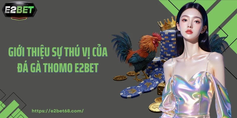 Giới thiệu sự thú vị của đá gà Thomo E2BET