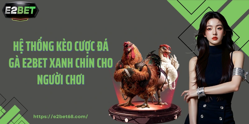 Hệ thống kèo cược đá gà E2BET xanh chín cho người chơi