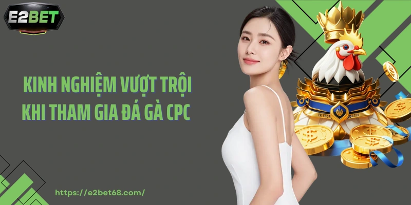 Kinh nghiệm vượt trội khi tham gia đá gà CPC