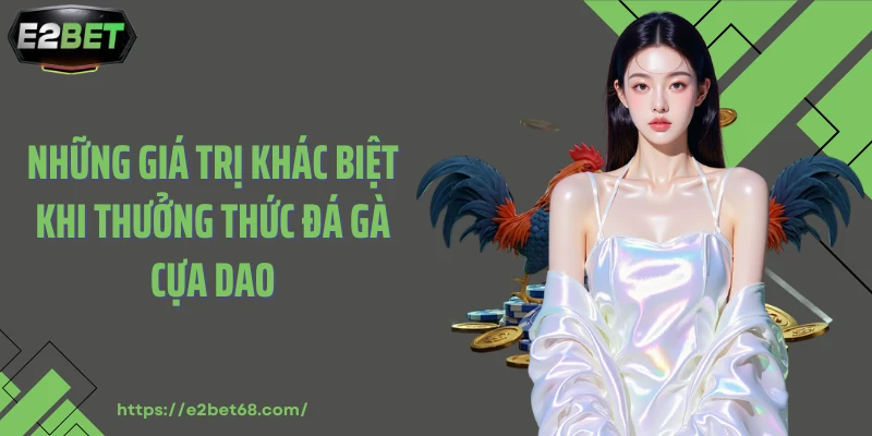 Những giá trị khác biệt khi thưởng thức đá gà cựa dao